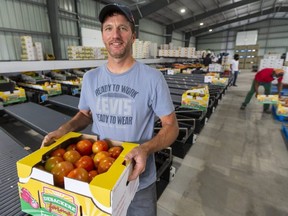 Dan DeBackere, owner of DeBackere Farms near Port Stanley, holds a case of field tomatoes. They ship to major grocery chains including Loblaws and Metro. (Mike Hensen/The London Free Press)