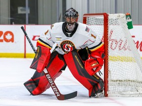 Tyler Parsons is pictured as a member of the American Hockey League's Stockton Heat.