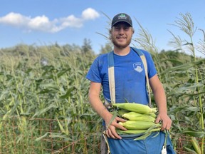 Submitted photo of Oliver Papple, a 21-year-old farmer who grows two acres of sweet corn on his farm just outside of Seaforth.