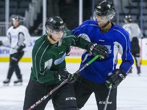 Logan Mailloux, in green, jostles with a teammate at London Knights training camp in 2019. (Derek Ruttan/The London Free Press)
