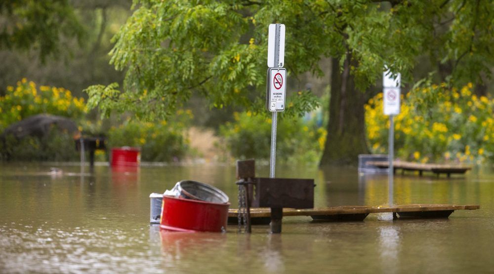 Southwestern Ontario mopping up from month's worth of rain at once