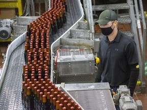 Hundreds of bottles of Budweiser zip past on the beer brewer's London Labatt production line. (File photo)
