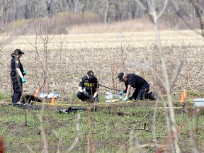 In this file photo, members of the Ontario Provincial Police forensic identification unit are shown conducting an investigation on Walpole Island First Nation. Officers were seen here in a clearing in a wooded area meticulously scouring a section of land on Tuesday April 13, 2021. This investigation is taking place north of where the remains of University of Windsor student Oyebode Oyenuga were found in a marshy area in the south end of the island on March 17. Six people face charges in his homicide. (Ellwood Shreve/Chatham Daily News)