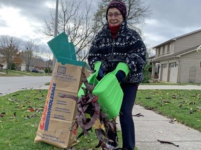 Sharon Blaine employs handy garden scoops to pick up raked piles of pods from the shademaster locust tree on her Griffith Street front lawn Monday. She and husband John had already filled more than 30 bags with leaves which were delivered to the dumb.
BARBARA TAYLOR/LONDON FREE PRESS