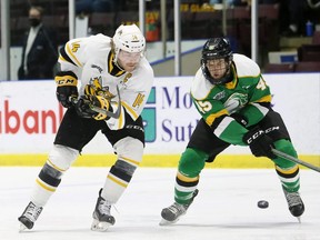 Brayden Guy of the Sarnia Sting and Gerard Keane of the London Knights battle for the puck at Progressive Auto Sales Arena in Sarnia on Nov. 16, 2021. The Knights will play Flint on Friday at Budweiser Gardens without fans as a result of new measures announced this week by the Ontario government to slow the spread of COVID-19. Mark Malone/Postmedia Network