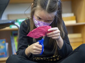 Alysia Hopps Gomez, 7, concentrates on cutting out a paper poppy with her Grade 2 class at Montessori Academy in London on Monday Nov. 8, 2021. Students can plant the paper poppies that contain seeds in a garden and watch poppies grow in the spring, said Wendy Sperry, an instructor in Fanshawe College’s school of design who came up the idea to mark the 100th anniversary of the Remembrance Day poppy. Derek Ruttan/The London Free Press/Postmedia Network