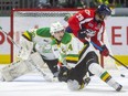 Knights captain Luke Evangelista goes down in front of the net against Windsor's Daniel D'Amico as he attempts a shot on Brett Brochu of the Knights in a game Oct. 15, 2021, at Budweiser Gardens in London. Evangelista has scored 10 goals in the Knights' first eight games. (Mike Hensen/The London Free Press)