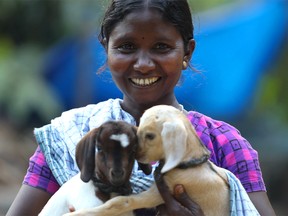 A program participant whose small business is goat rearing. Donations through Save A Family Plan give families the opportunity to start their own business leading to independence. Supplied