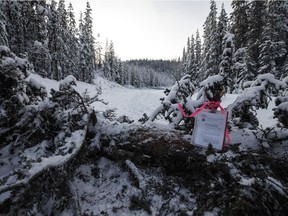 A notice to clear the road from RCMP sits in a tree fell across the road block access to Gidimt'en checkpoint near Houston in 2020.