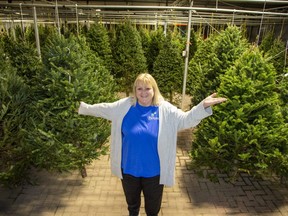 Parkway Garden Centre in west London has sold more than 1,000 Christmas trees this season, and general manager Lynne Kring expects the fewer than 300 left will sell out within 10 days. (Derek Ruttan/The London Free Press)