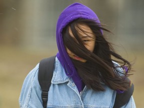 Chuyao Cai, a Western university student, has her vision obscured by the strong winds blowing her hair around as she walked through campus in this file photo. (Free Press files)
