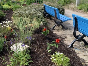 These brightly painted benches complement the flowers in Kincardine's beautiful lakefront garden.
(BARBARA TAYLOR/The London Free Press)