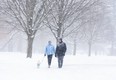 Natalie and Arnie Spoozak take their mini golden doodle Maddie for a walk Monday in Springbank Park. “It’s good to get out of the house and get some exercise,” he said. “And it’s pretty,“ she added. (DEREK RUTTAN, The London Free Press)