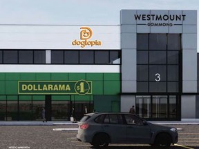 The company that manages Westmount Shopping Centre is seeking a zoning change to allow a company called Dogtopia to open a kennel at the south London mall. The kennel, shown in an artist's rendering, would give nearby residents a place to bring their dogs while they work or go on a trip, Coun. Paul Van Meerbergen said. Van Meerbergen, who represents the Westmount area, supports the proposal.