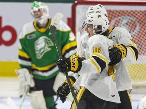 Sarnia Sting players Theo Hill (16) and Marko Sikic celebrate after Alex Daviault scored on London Knights goalie Brett Brochu to take a 3-0 lead in the second period of their OHL hockey game at Budweiser Gardens in London on Sunday January 16, 2022. Sarnia won, 4-2. Derek Ruttan/The London Free Press