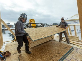 Greg Pennell and Brody Bailey of Rockstar Carpentry unload two sheets of oriented strand board at a home they're framing near Hyde Park and Sunningdale roads in London on Thursday. Increased housing supply is expected to moderate prices increases for homes in the London area in 2022, says the head of the local realtors association. (Mike Hensen/The London Free Press)
