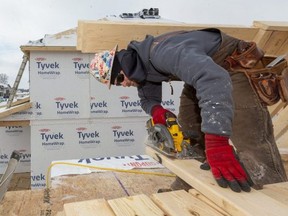 Brody Bailey of Rockstar Carpentry uses a battery-operated circular saw to cut a notch out of a board for outside wall framing of a home being built near Hyde Park and Sunningdale roads in London. Photograph taken Thursday, Jan. 6, 2022. (Mike Hensen/The London Free Press)