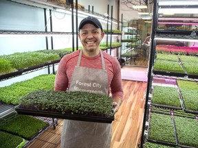 Santiago Ramirez has opened Forest City Microgreens in downtown London, Ontario. (Derek Ruttan/The London Free Press)