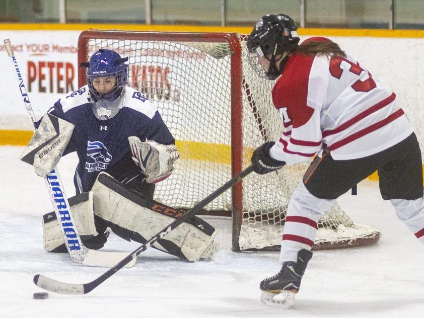 Photos: Medway beats Parkside in high school girls hockey | London Free ...