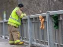 A firefighter scans Whirl Creek Tuesday from Mitchell's Wellington Street bridge as crews search the fast-moving waterway for a third day for any sign of a 10-year-old girl who fell through the ice Sunday morning.  (Derek Ruttan/The London Free Press)