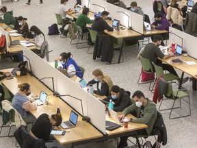 Students in masks study at D.B. Weldon Library at Western University in London on Tuesday March 15, 2022. (Derek Ruttan/The London Free Press)