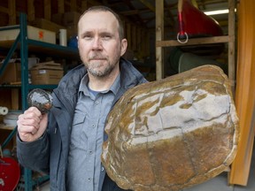 Scott Gillingwater, the species-at-risk biologist with the Upper Thames River Conservation Authority, shows big and small turtle shells. Photo taken Tuesday, March 1, 2022, in London. (Mike Hensen/The London Free Press)