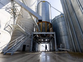 Jake Dietrich walks through a corn, bean and grain storage facility on his family's farm near Lucan north of London. The war in Ukraine is being watched closely by area farmers, who feel for their counterparts in Ukraine and also face higher prices for fertilizer because of the conflict. (Mike Hensen/The London Free Press)