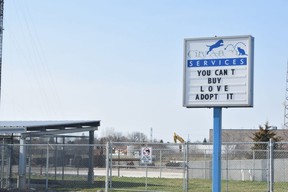 St. Thomas council recently approved a new off-leash dog park and animal services center to replace the aging facility at 100 Burwell Rd. (Calvi Leon/The London Free Press)