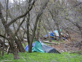 A small homeless encampment along the Thames River in Thames Park in London. (File/The London Free Press)
