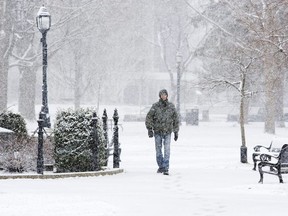 Environment Canada was calling for snow on Easter Monday 2022, and this photo from the LFP Archives shows a similar situation on this exact date 11 years ago, April 18, 2011, as Londoner Lionel Lucas strolled through a snowbound Victoria Park. (Free Press file photo)