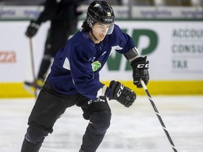 London Knights captain Luke Evangelista will join the AHL Milwaukee Admirals for the rest of their Calder Cup playoff run, the Nashville Predators said Wednesday. (Free Press files)