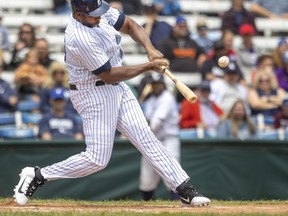 London Majors designated hitter Cleveland Brownlee  (Mike Hensen/The London Free Press)