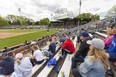 The defending champion London Majors hosted the visiting Guelph Royals on Monday May 23, 2022.  (Mike Hensen/The London Free Press)