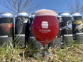 Bird Friendly London and London Brewing are back with a beer celebrating the spring migration. Bird Friendly London Currant Wit features black currants, a favourite food of our feathered friends. (London Brewing photo)