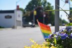 One of several rainbow Pride flags that line the main street in Norwich.  The flags were replaced after several were stolen or vandalized in late May.  (Calvi Leon/The London Free Press)
