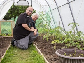 Rev. Kevin George and city hall's Jay Stanford are shown in one of three greenhouses used to grow produce for the London Food Bank at St. Aidan's Anglican Church in London on Wednesday June 8, 2022. (Derek Ruttan/The London Free Press)