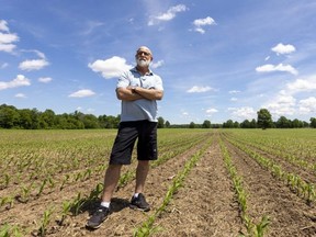 Tom Martin, who farms corn, winter wheat and beans just east of the 800-acre plot the city of St. Thomas is assembling for a possible auto plant, is frustrated that excellent farmland may become industrial land. (Mike Hensen/The London Free Press)