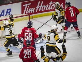 The Hamilton Bulldogs celebrate the opening goal of Game 4 of the OHL final between the Windsor Spitfires and the Hamilton Bulldogs at the WFCU Centre in Windsor on Friday, June 10, 2022. Hamilton won 3-2 in overtime to tie the best-of-seven series 3-2.  (DAX MELMER/Windsor Star)