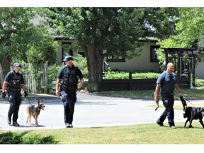 London police officers use search dogs to look for evidence after gunfire struck a business in the area of Dundas and Wavell streets around 11 a.m. on Monday July 11, 2022. Two people were taken into custody and nobody was injured. (DALE CARRUTHERS/The London Free Press)