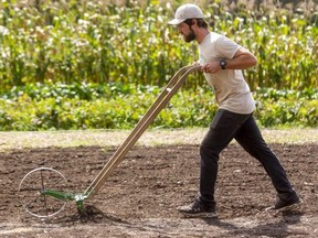 Ben Wilcox of Urban Roots London uses a wheel hoe as he readies a field for planting winter cover at the group's plot near Highbury Avenue and Hamilton Road in London on Sept. 20, 2021. Urban Roots London is one of nine agencies recommended by a community committee to receive grants from the city. Mike Hensen/The London Free Press