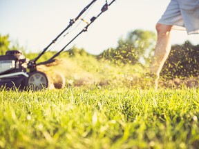 Cutting the grass