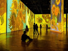 In the Imagine Van Gogh exhibit that opens Saturday at 100 Kellogg Lane in London, the artist's famed paintings are presented larger than life to appreciate every brush stroke and uniquely chosen colour. Photo by Laurence Labat