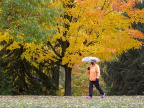Linda Doughty strolls through the rain in Springbank Park while wearing inappropriate footwear in London on Wednesday October 19, 2022. "I'm walking quickly because I wore the wrong shoes," she laughed while pointing to her sandals. Derek Ruttan/The London Free Press/Postmedia Network