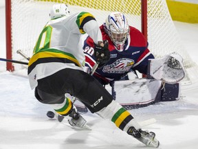 London Knights roll into Christmas break top of the OHL