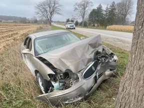 Leonard Martin, 87, of Thamesford, died when his car left County Road 119 in Zorra Township and struck a tree on Tuesday at about 11 a.m. (Oxford OPP Twitter photo)