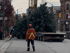 A Christmas tree destined to be set up in Rotary Square at Covent Garden Market in London never made it off the truck after crews noticed its trunk was split on Monday, Nov. 22, 2022. A City of London spokesperson said a replacement tree has been found. (Free Press staff)