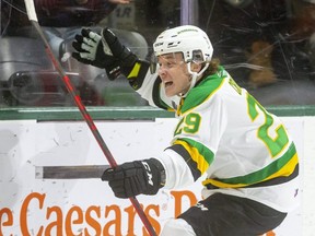 Brody Crane of the London Knights celebrates a goal against the Soo Greyhounds at Budweiser Gardens on Nov. 12, 2021.  (Mike Hensen/The London Free Press)
