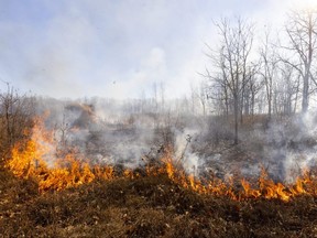 A grass fire burns in a large field on Chippewa of the Thames First Nation southwest of London on Tuesday, Nov. 8, 2022.  The white smoke was visible from outside of Lambeth. (Mike Hensen/The London Free Press)