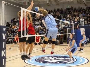 Lucas Vikings player Nolan Buck O’Neill gives the fans what they want as he goes cross-court to avoid the blocks of Saunders Sabres rivals Lucas Diebold and Joey Kleuskens during their WOSSAA semifinal game in straight sets. Lucas won in three sets on their home court, 25-16, 25-17 and 25-13, to earn a berth in the gold-medal game. Photograph taken on Wednesday Nov. 16, 2022. (Mike Hensen/The London Free Press)