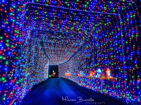 Christmas lights dazzle spectators in Magic of Lights London displays like this one. Marion Buccella Photography